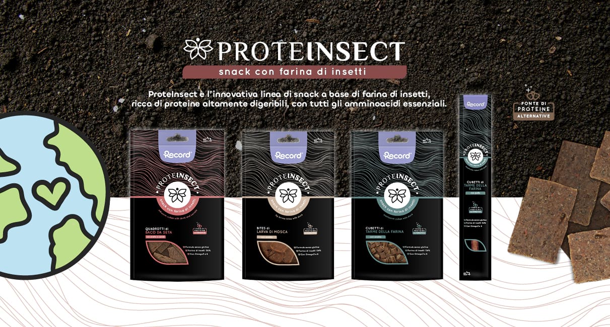 Proteinsect: snack per animali con farina d'insetto